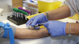 krev doctor-2346235 1280